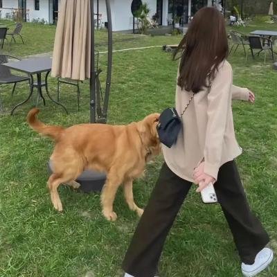 功夫兔与菜包狗第二季